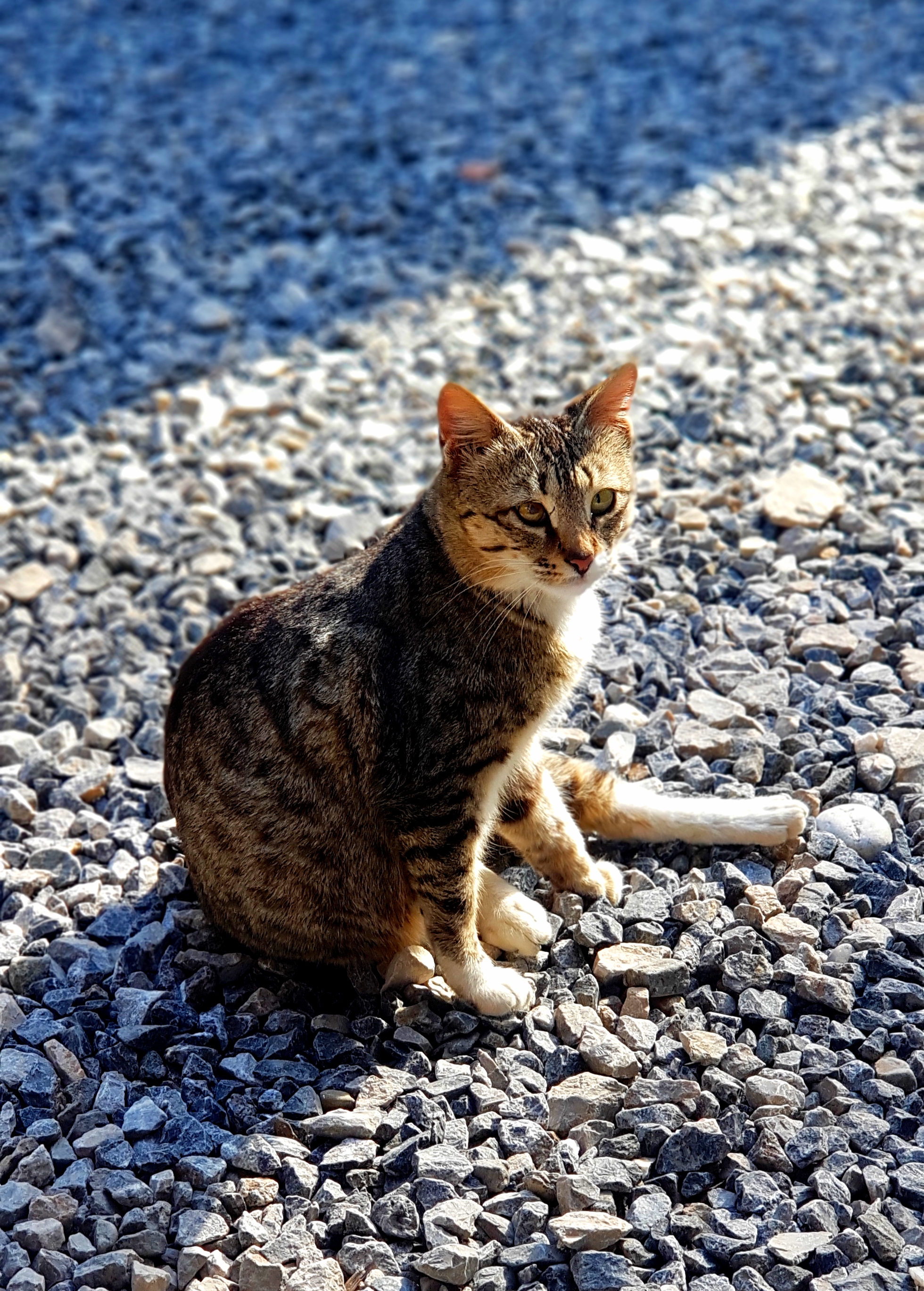 The Warmth of a Gaze