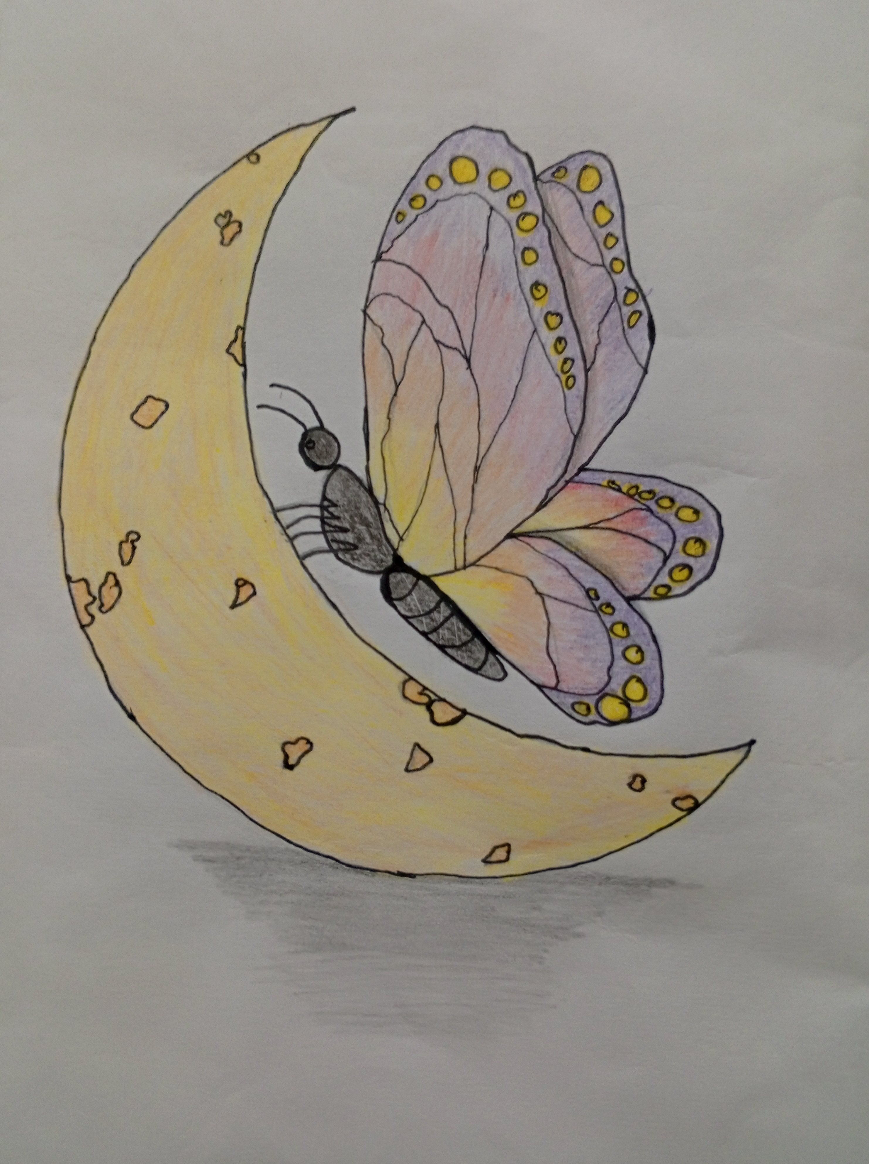 Moon and Butterfly 