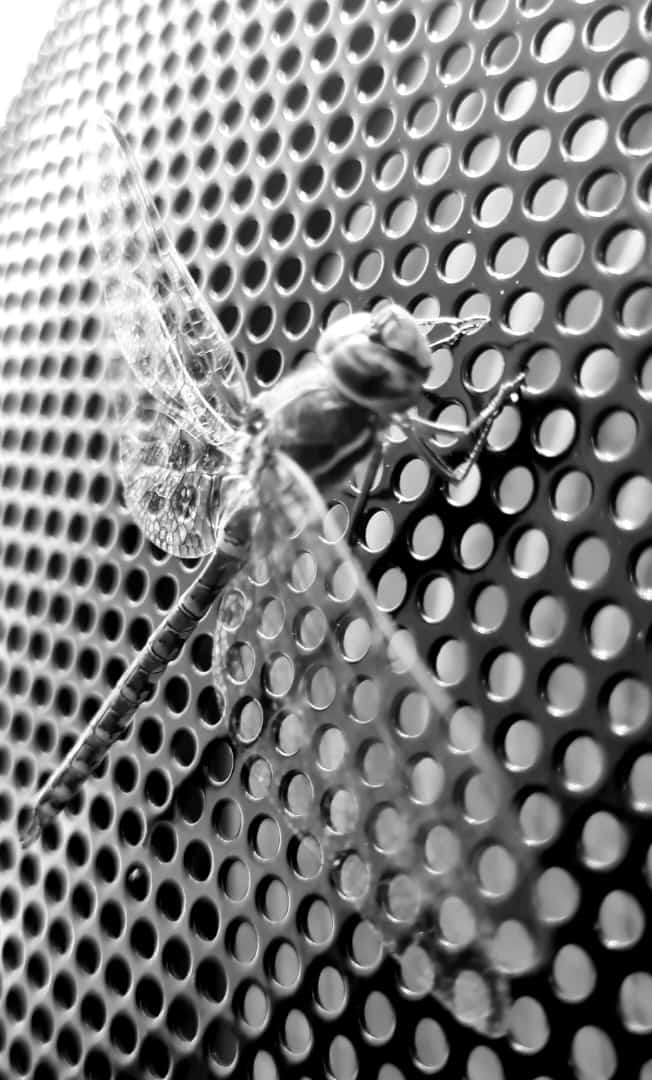 Where the magic happen