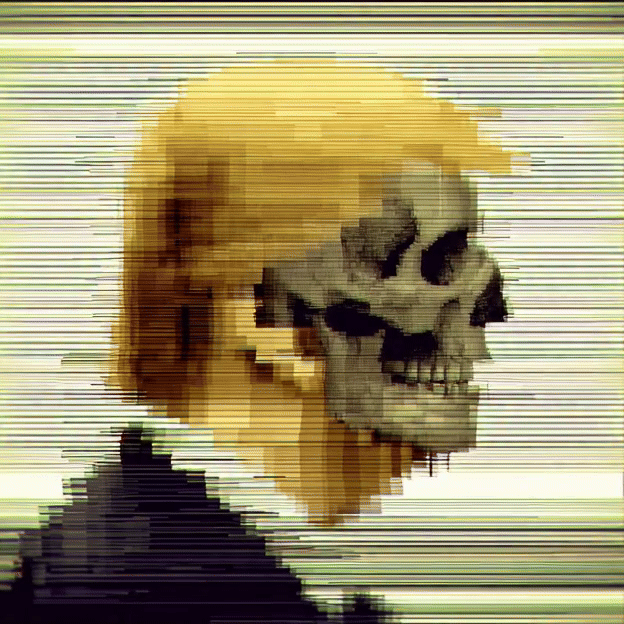 Skull 007