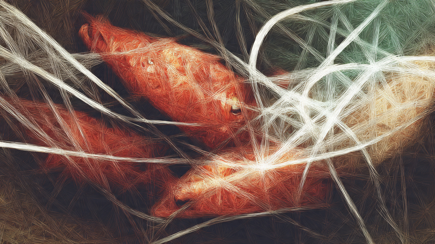 抽象的な海の生き物