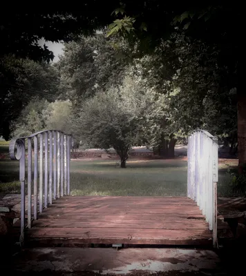 Pathway to Tranquility